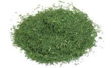 Dill Tips 1kg