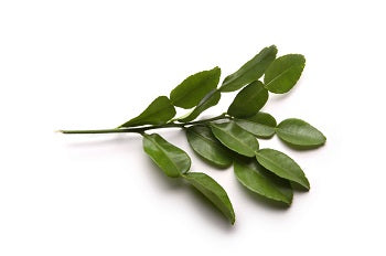 Kaffir Lime Leaves 1kg