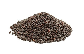 Mustard Seed Brown 1kg