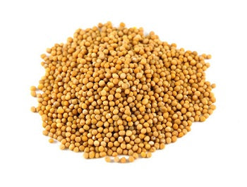 Mustard Seed Yellow 1kg